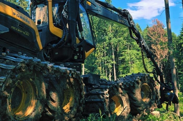 Problembaumfällung Steiermark Holzschlägerung