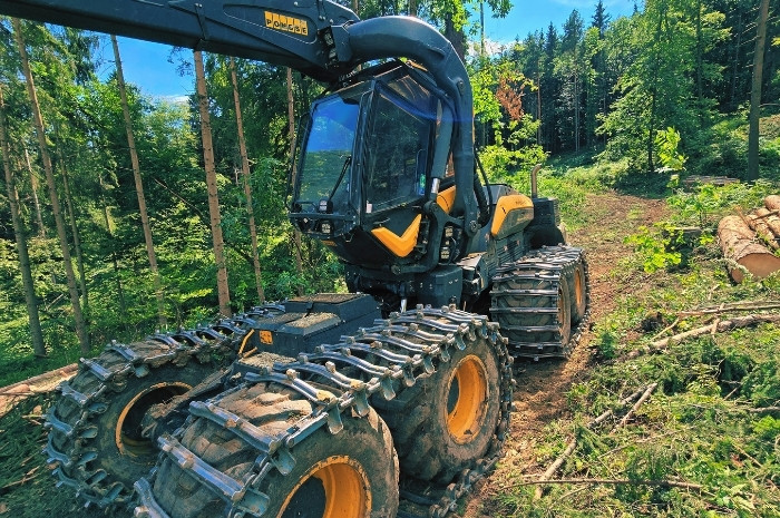 Holzschlägerung & Bringung Graz-Umgebung Käferholz Bild 3